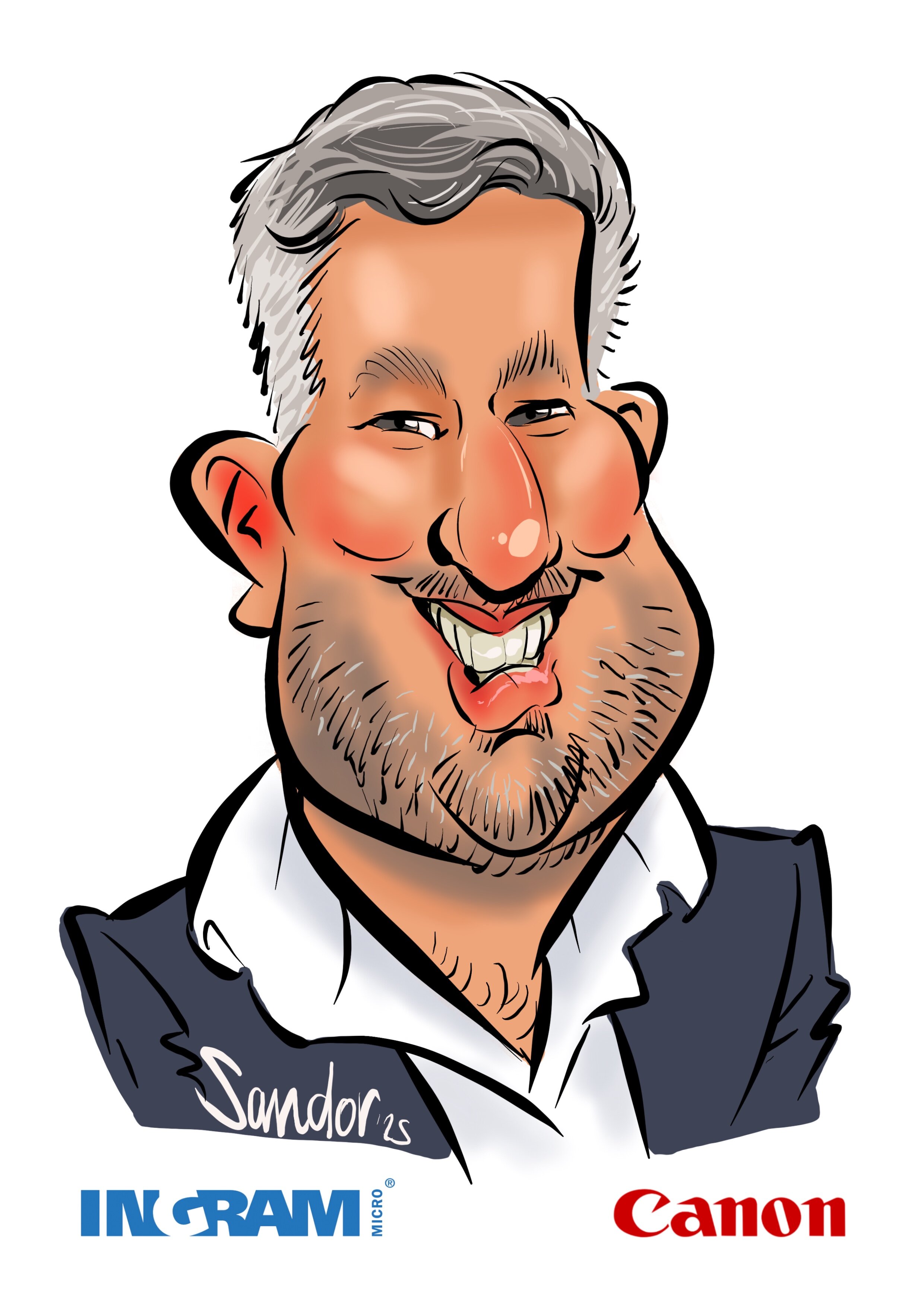 Ingram Micro - door Sandor